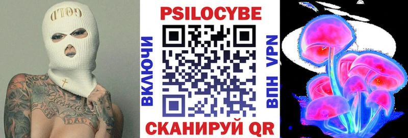 купить закладку  Фролово  дарк нет официальный сайт  Галлюциногенные грибы Cubensis 