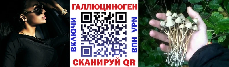 Галлюциногенные грибы Cubensis Фролово