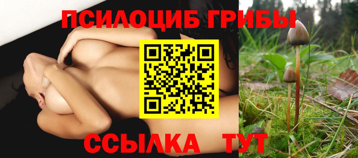 Галлюциногенные грибы Psilocybe  Фролово 
